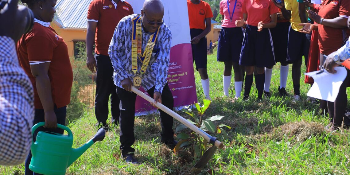 District Governor of D9213 launched the tree planting project