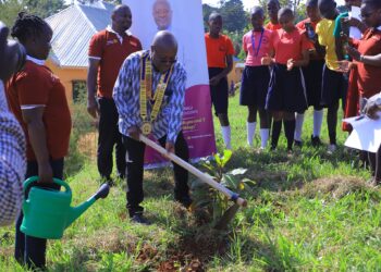 District Governor of D9213 launched the tree planting project