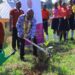 District Governor of D9213 launched the tree planting project