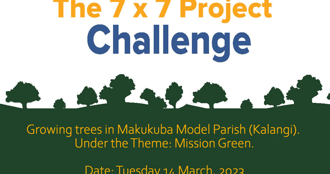 The 7×7 Project Challenge