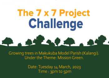 The 7×7 Project Challenge