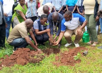 Seven By Seven Model Launch